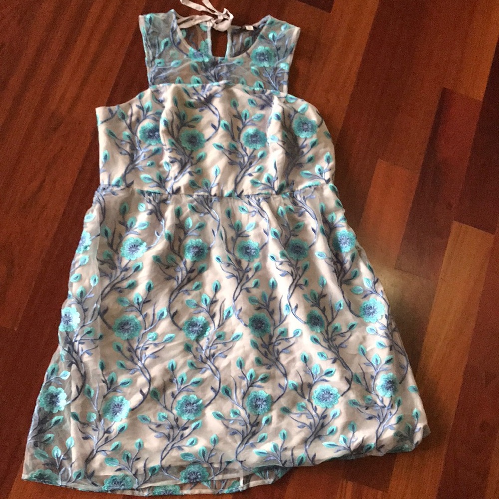 Truly Poppy Sienne Embroidered Mesh Dress